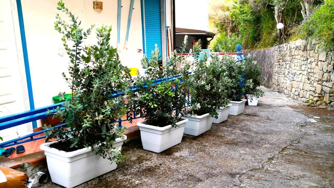 La Casa Di Aurelio Apartment Capo d'Orlando Exterior photo